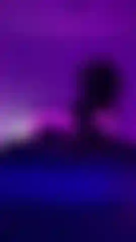 Camera da letto viola.