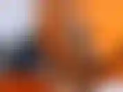 Vieni a vedere una piccola anteprima di come sono e cosa posso offrirti, il mio sorriso, il mio corpo caldo, la passione e tutto ciò di cui hai bisogno.