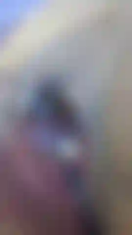 Zoompussy.