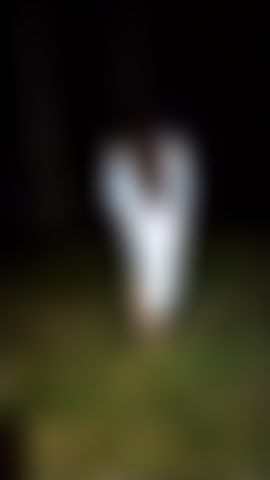 Mostra un seno nella foresta.