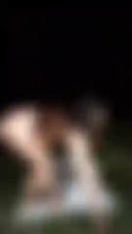 Sexy ed erotica nella foresta.