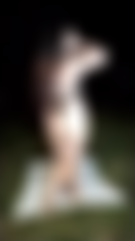 Cagnolina nella foresta.