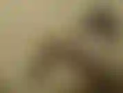 Maid luna si accarezza, si dita e si incula con il suo guanto di gomma e viene due volte! / Maid luna si accarezza, si fa un ditalino e si scopa usando il suo guanto di gomma, fino ad avere 2 orgasmi!