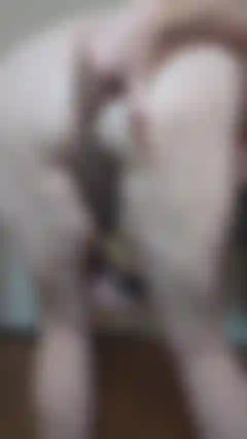 Cetriolo anale e bancomat!