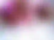 Pensieri più calorosi e auguri per una meravigliosa vacanza e un felice anno nuovo. Pace, amore e prosperità ti seguano sempre.