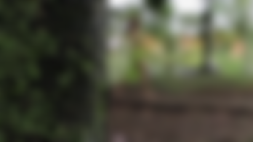 L'intimità della natura fa sì che i vestiti di maia cadano lentamente fino a quando non sia completamente nuda per toccare il suo corpo scoperto.