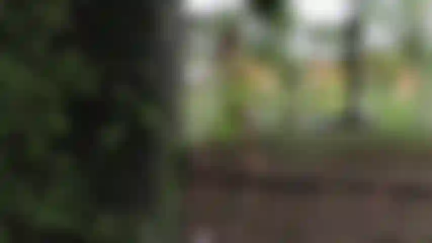 L'intimità della natura fa sì che i vestiti di maia cadano lentamente fino a quando non sia completamente nuda per toccare il suo corpo scoperto.