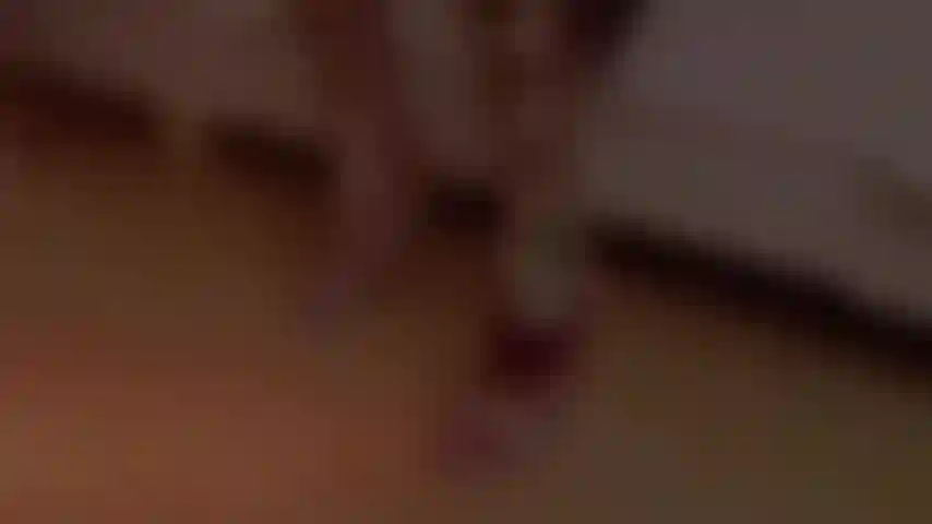 Welcome to your new love nest