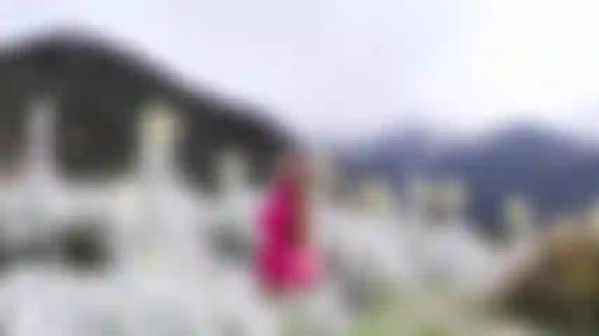 Conosco un po' il mio paese.