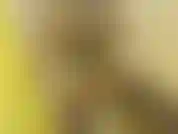 Pompino sotto la doccia della bbc - adoro imbavagliare il tuo cazzo finché i miei occhi non si alzano indietro!