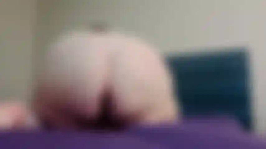 Cagnolino con plug anale.