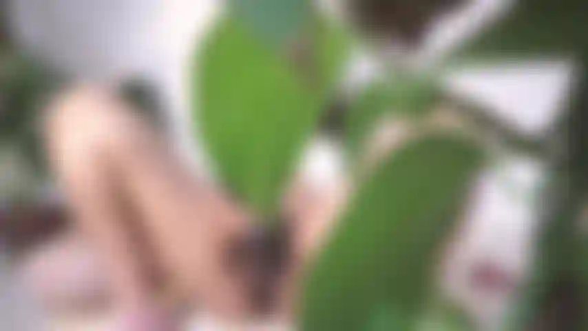 Sorpresa a spiare e umiliata.