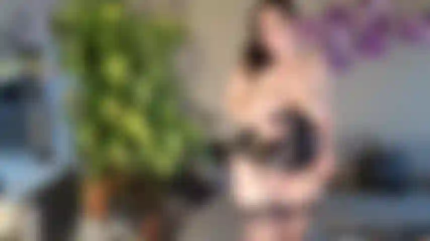 Desidero video: soddisfa i desideri degli utenti.