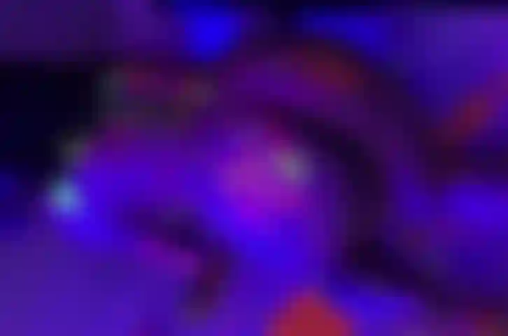 Il mio corpo sexy è in neon!