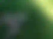 Video pacifico di me che vengo su un dildo nel mio cortile!