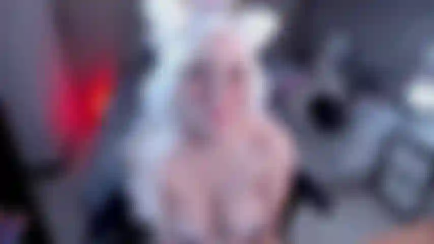 Una gattina carina che viene con domi.