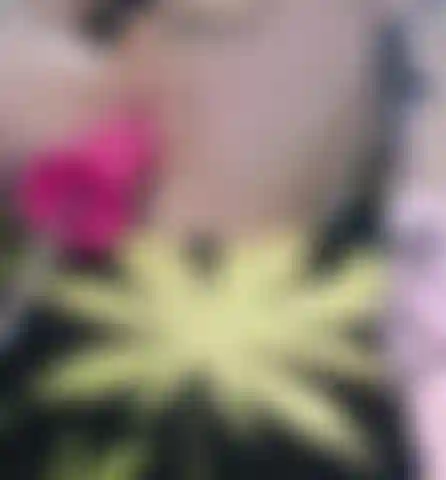 Guarda la mia piccola figa stretta mentre viene sbattuta da un grosso giocattolo rosa.