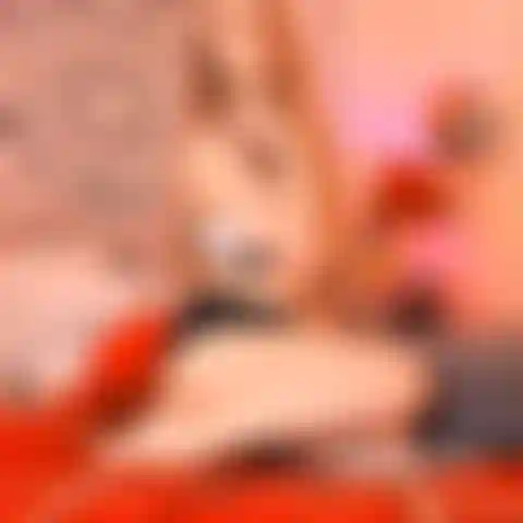 Le migliori posizioni sessuali | quando sono in ginocchio.