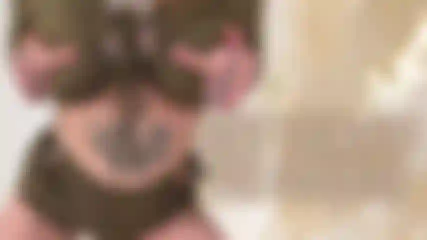 Fatti del male per la dea cbt.