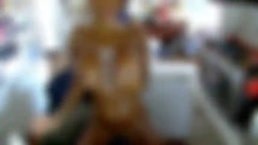 Gioco con la panna montata.