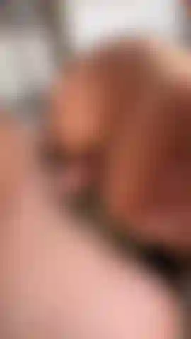 Doggy, Fingering Till I Squirt, Standing Sex, and FACIAL Cumshot.