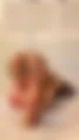 Sega coi piedi a pecorina sul dildo.