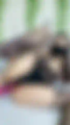 Uso il vibratore nel buco del culo.