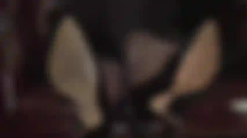 Lecca le mie scarpe sporche fino a pulirle: le caviglie incrociate della padrona ti eccitano tantissimo mentre fa penzolare le sue décolleté nere di vernice e ti tenta con i suoi piedi in collant. La tua ricompensa: annusare e leccare queste meravigliose dita dei piedi in nylon.