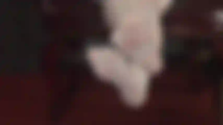 Non ne hai mai abbastanza dei piedi della padrona, che siano avvolti in collant bianchi lucidi o nudi. La padrona vivian sfrutta il tuo feticismo per i piedi.