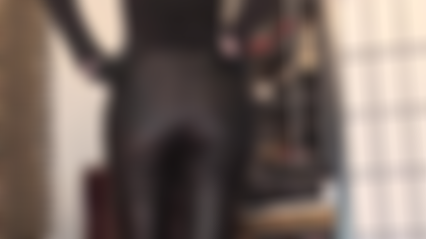 Piace fare facesitting, adorare il culo e indossare pantaloni in similpelle.