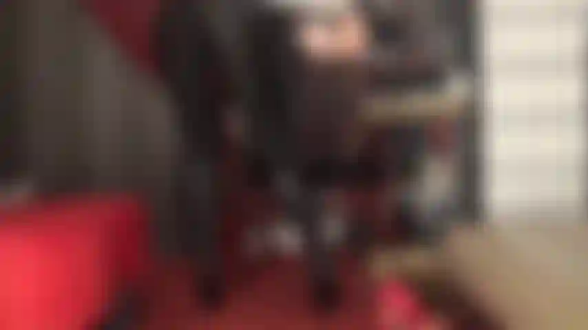 La padrona ti ha riempito del desiderio di accarezzare il tuo cazzo su questi leggings attillati in spandex nero e stivali in pelle lunghi fino al ginocchio.