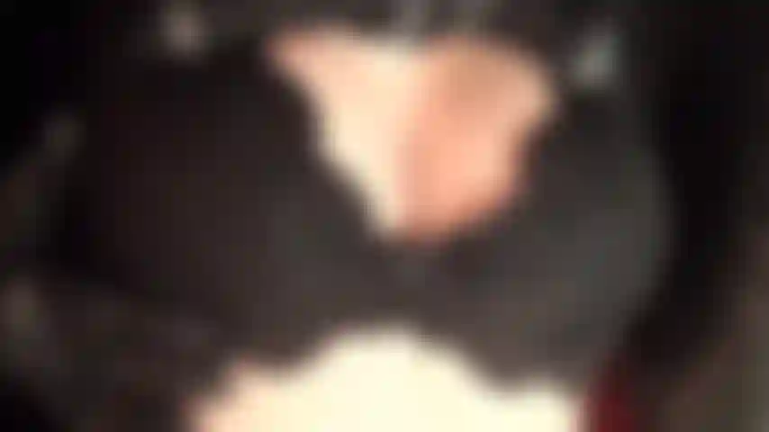 Con una scollatura sexy, un reggiseno in pizzo nero e guanti in pelle.