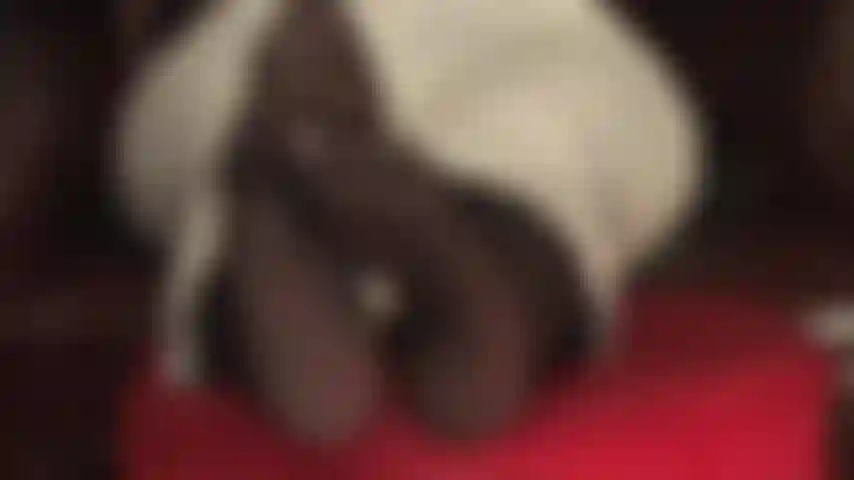 Che alimenta la tua dipendenza dal feticismo dei piedi: la padrona vivian ti agita i suoi bei piedi in collant in faccia.