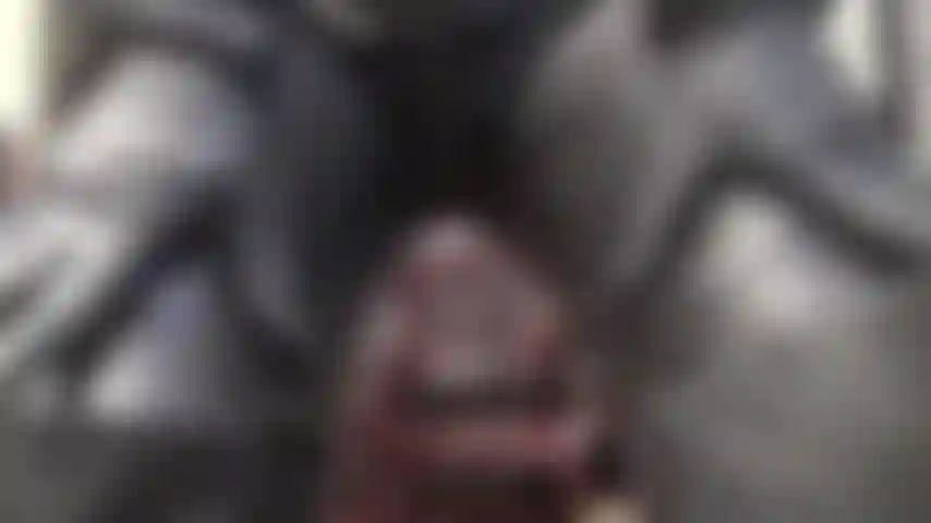 Vestita interamente di pelle nera, la signora vivian indossa una tuta con cerniera, lunghi stivali di pelle e guanti per soddisfare gli amanti della pelle.