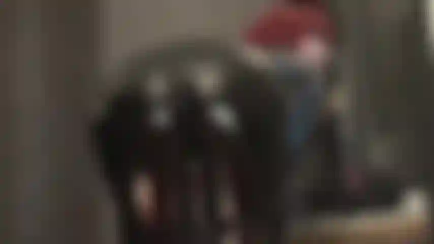 Pvc, catsuit, facesitting, giochi con lo sputo: la padrona ti fa baciare il suo culo perfetto in una tuta in pvc nero lucido. Le piace anche sputarti direttamente in bocca mentre ti stringe il collo.