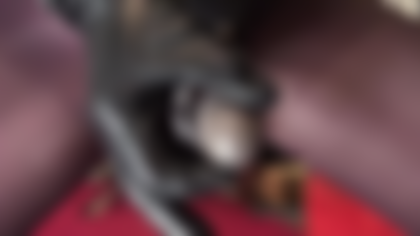 Una puttana amante del cazzo! Oh sì, sbavi alla vista dei miei 20 centimetri di splendido cazzo nero. Il tuo culo si contrae, lo vuoi...