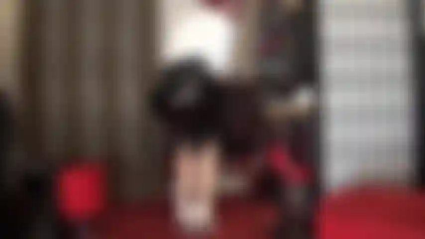 Sei una sega per il culo e il cavallo della padrona in calzamaglia. Ti masturbi senza sosta. Non riesci proprio a smettere di toccarti. Sputa sul tuo cazzo, sculaccialo, masturbalo, perdente.