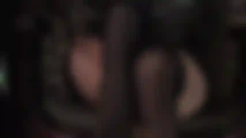 Archi plantari perfetti a piedi nudi.