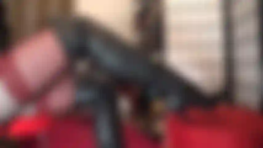 Feticista degli stivali e dei guanti in pelle.