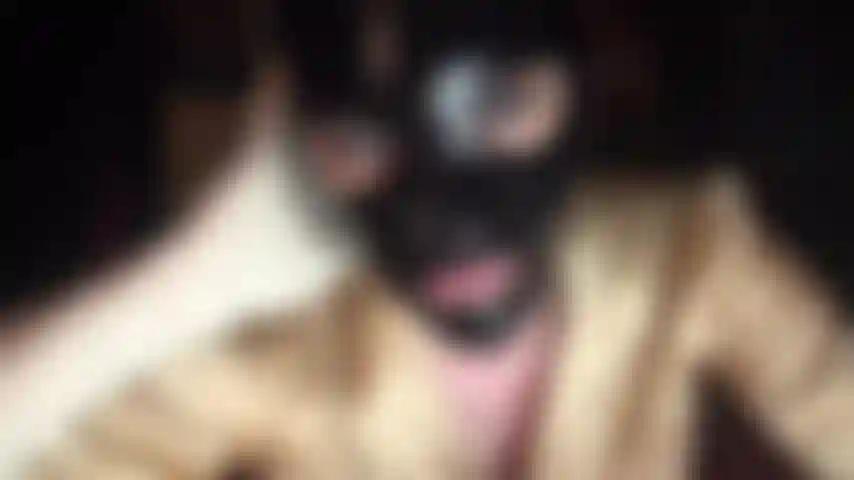 Feticista del lattice: cappuccio di gomma nera lucida e guanti di lattice bianchi.