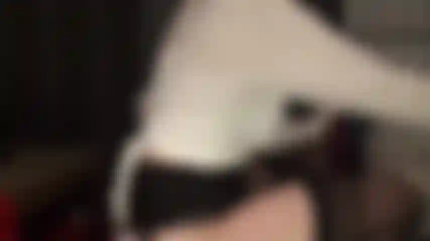 Amante dello spandex: la mia padrona mi mostra la sua fantastica collezione di collant in spandex, poi la guardo mentre indossa calze e giarrettiere e si trasforma in un paio di leohex marroni lucidi.