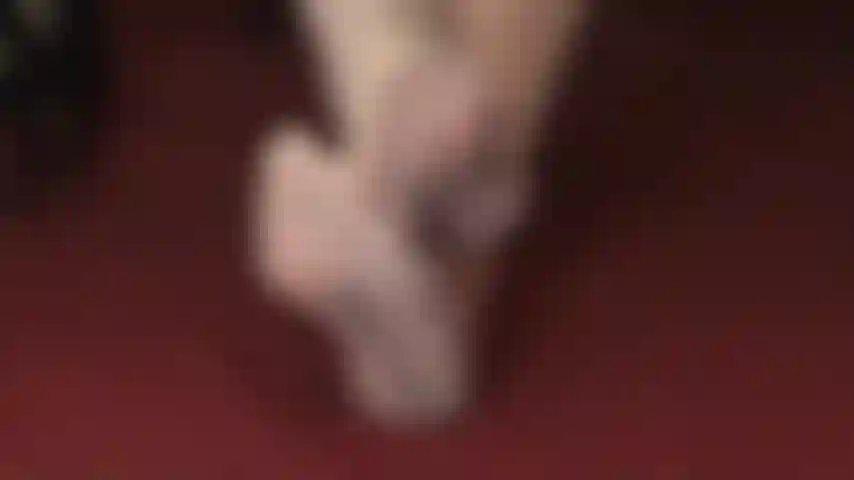 Calze con cuciture sulle dita, così trasparenti: le calze color avorio con cuciture meravigliose sono una delizia per gli occhi di ogni footboy.