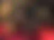 Adoratrice di enormi cazzi neri.