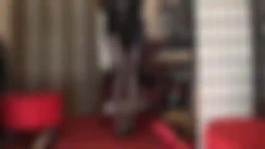 Collant in spandex color marrone metallizzato estremamente lucido: la mia padrona mette in mostra le sue gambe potenti e il suo sedere perfetto in questi collant lucidissimi.