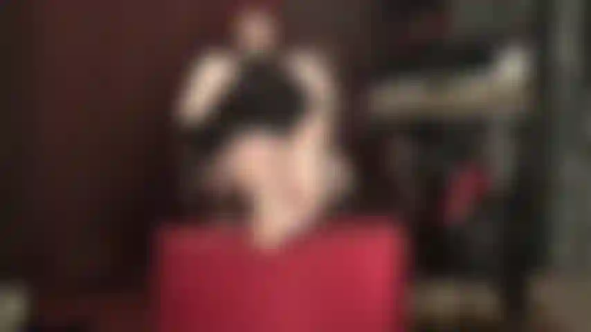 Che seduce i piedi nudi - ti inginocchi dall'altra parte della stanza, con il collare, il guinzaglio e la castità, sbavando. Che faresti qualsiasi cosa per avvicinarti e poter adorare le perfette e morbide piante dei piedi e le dita sexy della padrona.