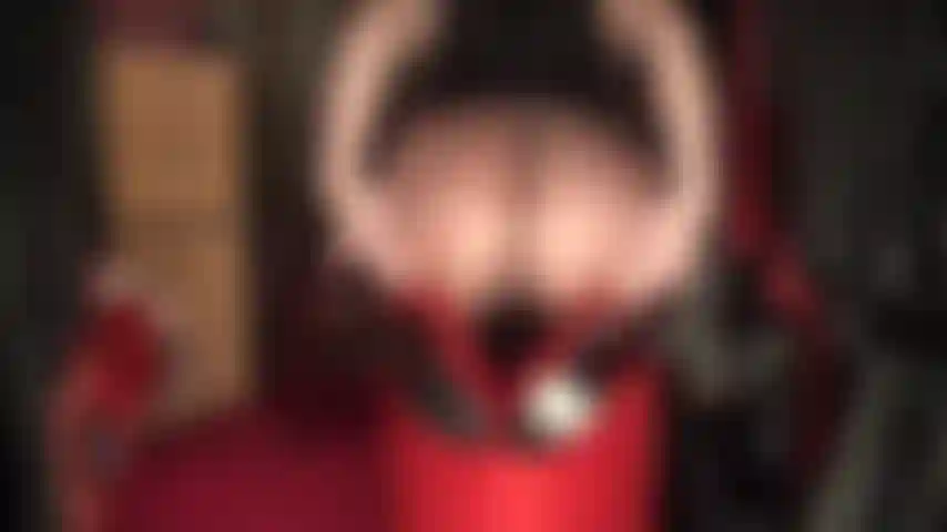 Adoro i meravigliosi collant della padrona vivian che ricoprono il sedere e i piedi con strati di nylon, collant marroni lucidi sopra calze bianche trasparenti in pizzo.