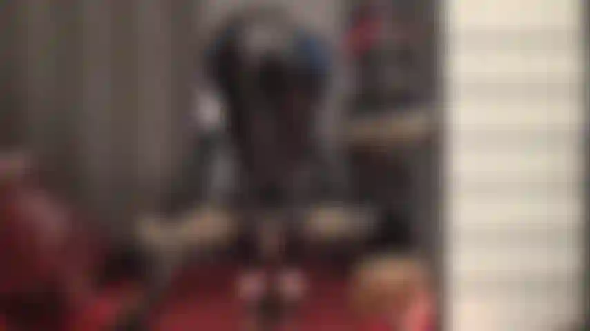 Lasciati conquistare da questi leggings lucidi in pvc che avvolgono le curve, così aderenti al sedere della tua padrona, abbassati fino al tuo viso.