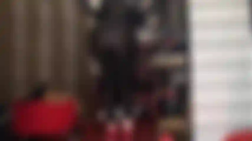 Dipendente dal culo perfetto della padrona vivian: goditi questa adorazione del culo, dai leggings in spandex neri e lucidi fino al culo nudo in perizoma blu navy.