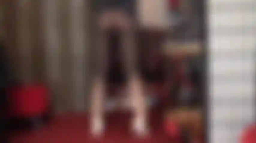 Adoro i collant bicolore sfumati in bianco e nero.