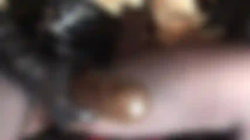 Uno strap-on carnoso e spesso color cioccolato. Il suo nome è bam e "bam!" Verrà fottuto nella tua bocca da puttana.